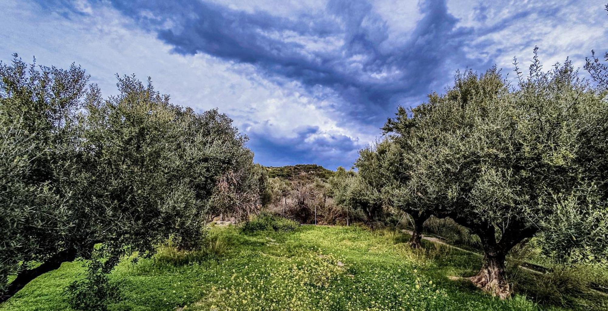 Your Spot West Peloponnese Shared Countryhouse ซาคาโร ภายนอก รูปภาพ