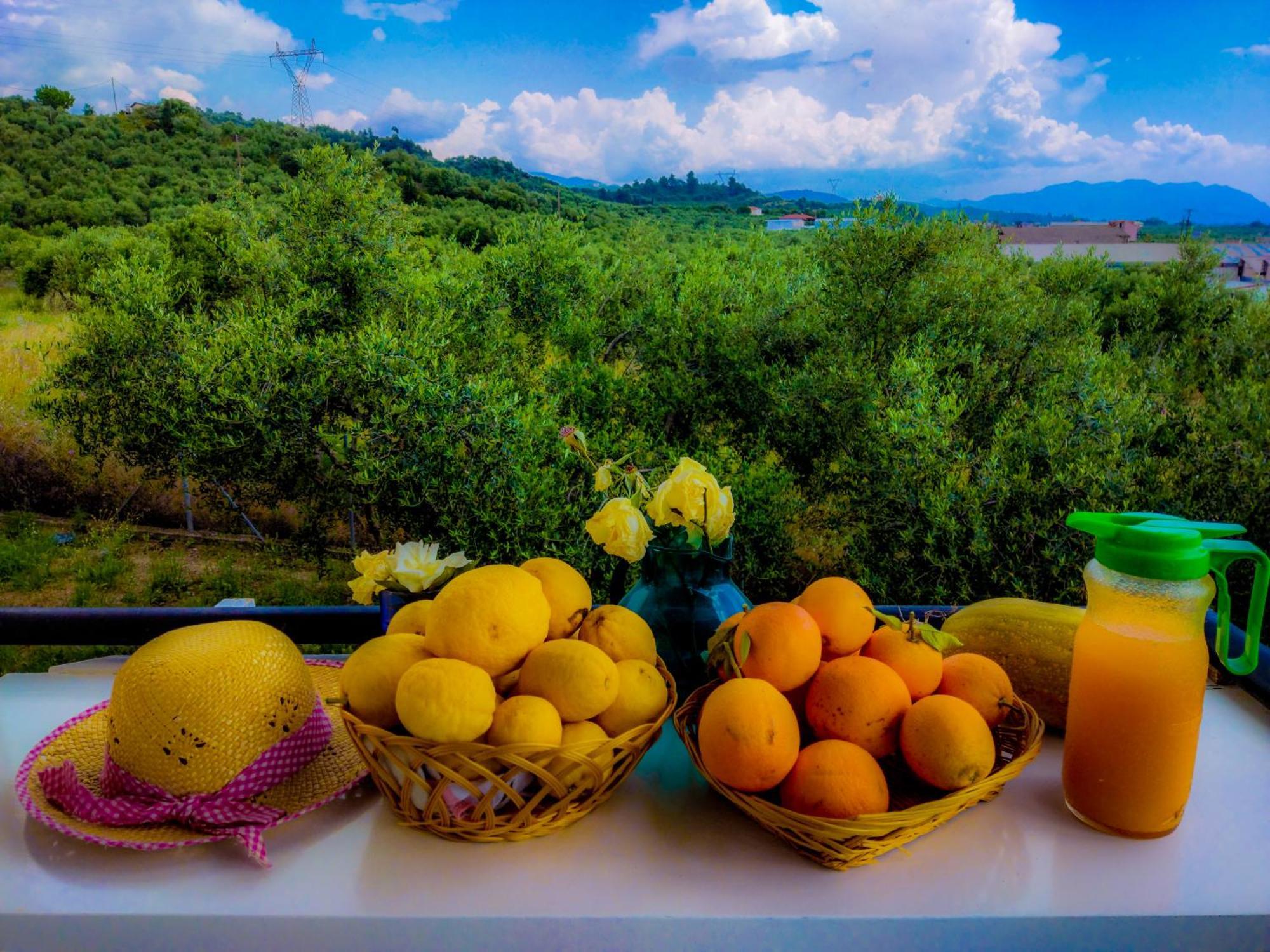 Your Spot West Peloponnese Shared Countryhouse ซาคาโร ภายนอก รูปภาพ