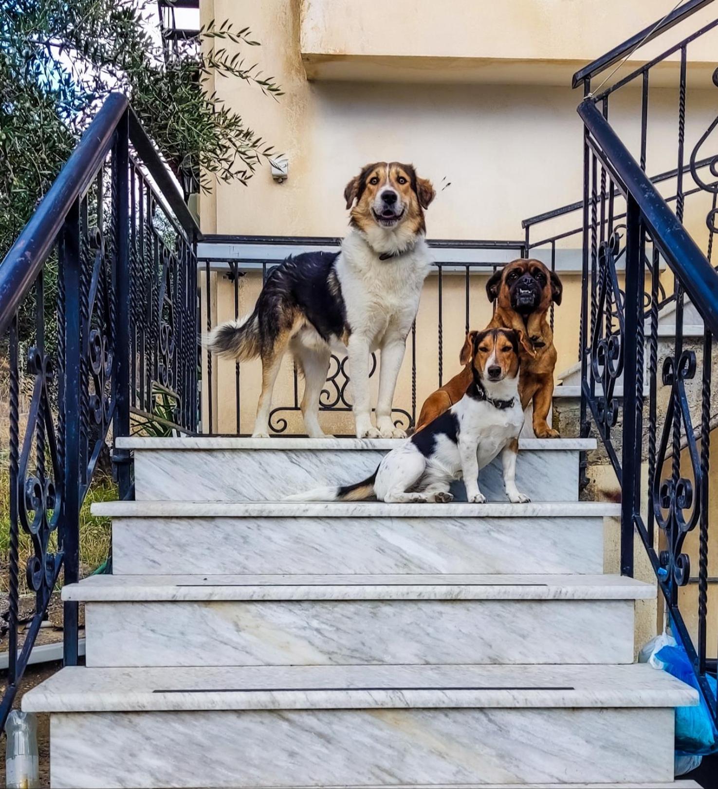 Your Spot West Peloponnese Shared Countryhouse ซาคาโร ภายนอก รูปภาพ